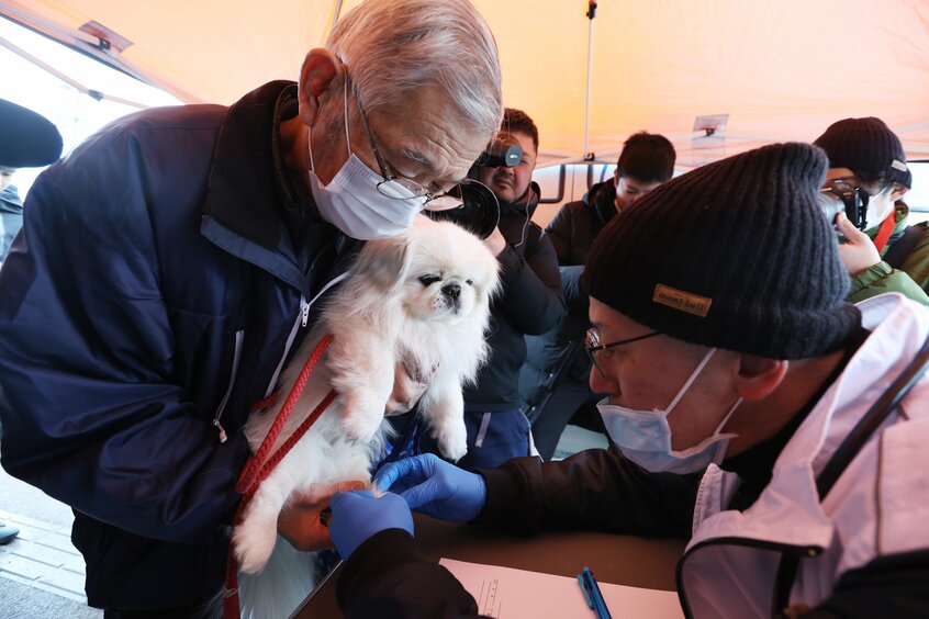 輪島市でペットの巡回診療が始まった。訪れた犬を診察する獣医師(右)=2024年1月28日、石川県輪島市