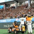 インバウンド客が埋める東京ドーム巨人戦 球界再編から20年、NPBが学んだ“負けても儲かる”仕組み作り