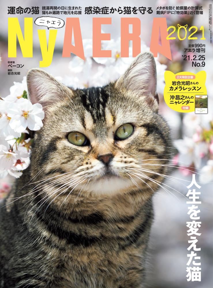 ＮｙＡＥＲＡ２０２１※アマゾンで好評発売中