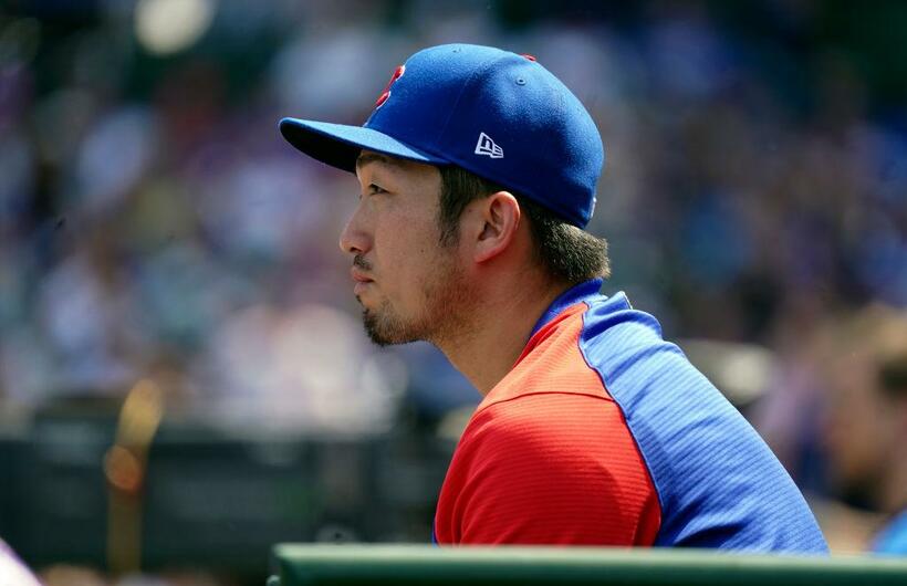 カブスの鈴木誠也（写真／gettyimages）