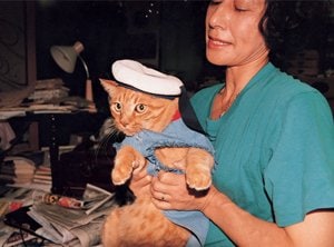 1980年代末に栗本家の家族だったネコのピッチ。帽子を被せてよく被写体にしていた。自家プリントで、当時は自宅の部屋を暗室にしていたという