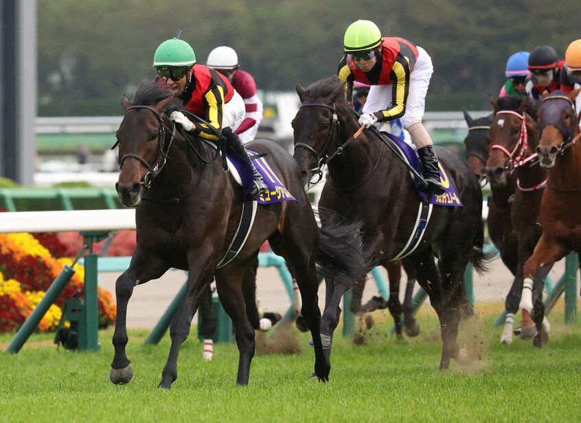 3歳馬7950頭の頂点に立つ馬は?(写真提供・日刊スポーツ)