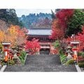 【大河ドラマ「光る君へ」本日第11話】藤原道長が「あの歌」を読んだ場所は?「栄華の跡」をたどる