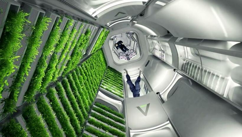 ブルーオリジン社が構想する宇宙ステーション「オービタル・リーフ」の機内。宇宙野菜を栽培するためのモジュールや実験棟、居住モジュールなどで構成される（ｉｌｌｕｓｔｒａｔｉｏｎ　Ｂｌｕｅ　Ｏｒｉｇｉｎ）