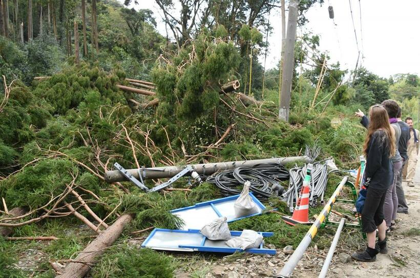 高野氏の自宅に近い地域でも、台風の影響で倒木などが相次いだ＝千葉県鴨川市（c）朝日新聞社