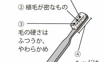 なぜきちんと歯を磨けない人が多いのか? 歯医者さんが教える、正しいブラッシング