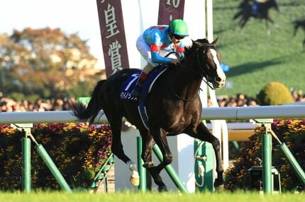 イクイノックスだけじゃない！衝撃レコード記録した名馬たち 3歳時に“怪物馬”に迫ったのは | AERA dot. (アエラドット)