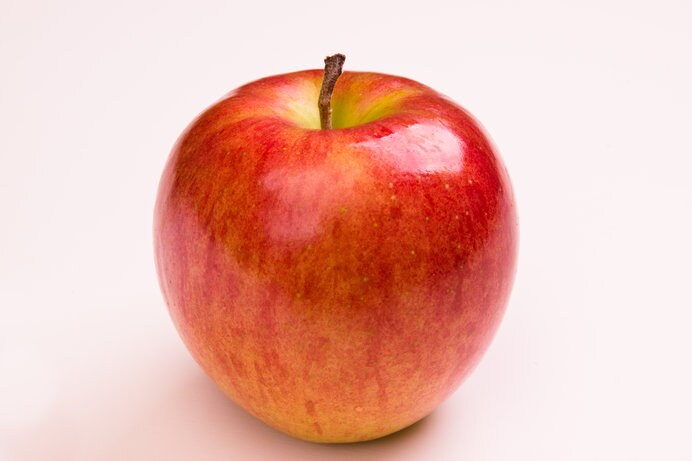 リンゴのテカテカは天然のワックス。熟したサインです