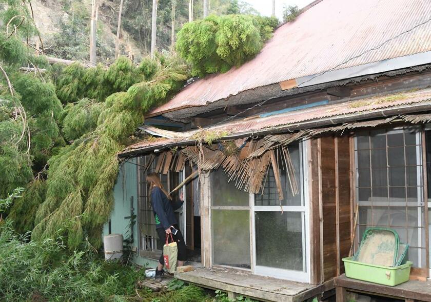 高野氏の自宅に近い地域で、台風の影響で木が倒れてつぶれかけた家＝千葉県鴨川市（c）朝日新聞社