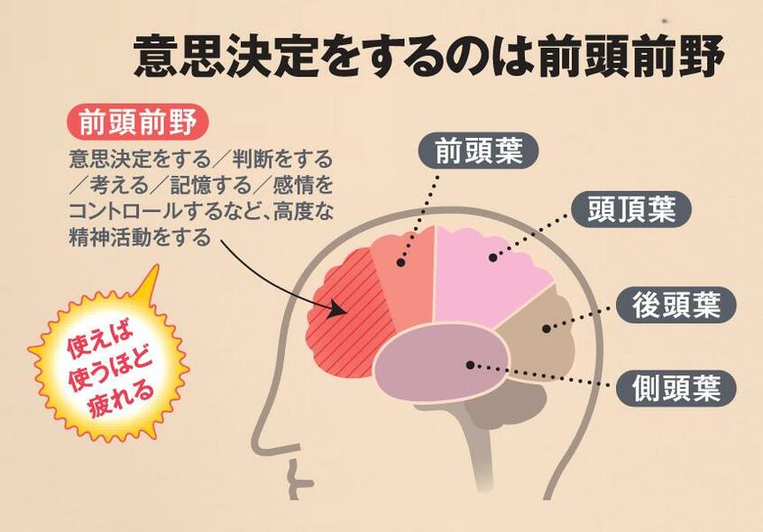 意思決定をするのは前頭前野(AERA 2019年11月11日号より)