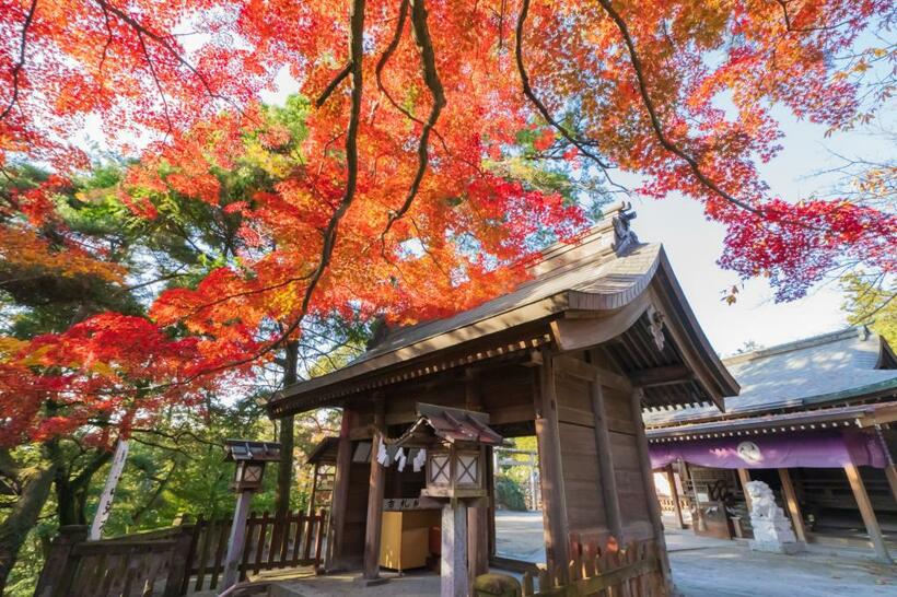 藤原秀郷の居城・唐沢山城跡に明治16年（1883）に建立された神社。秀郷を祭神として奉っており、今も参拝客が絶えない