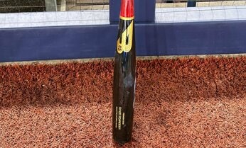 魚雷バットで「点が入らないプロ野球」は面白くなる? 人気向上、ファン拡大の重要アイテムに