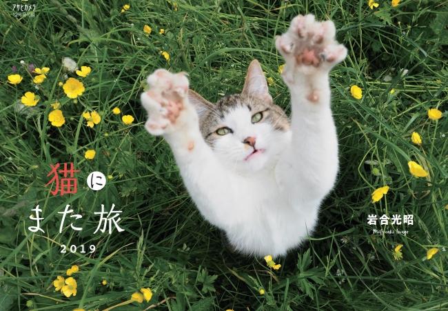 アサヒカメラ１２月号特別付録！　岩合光昭カレンダー「猫にまた旅２０１９」