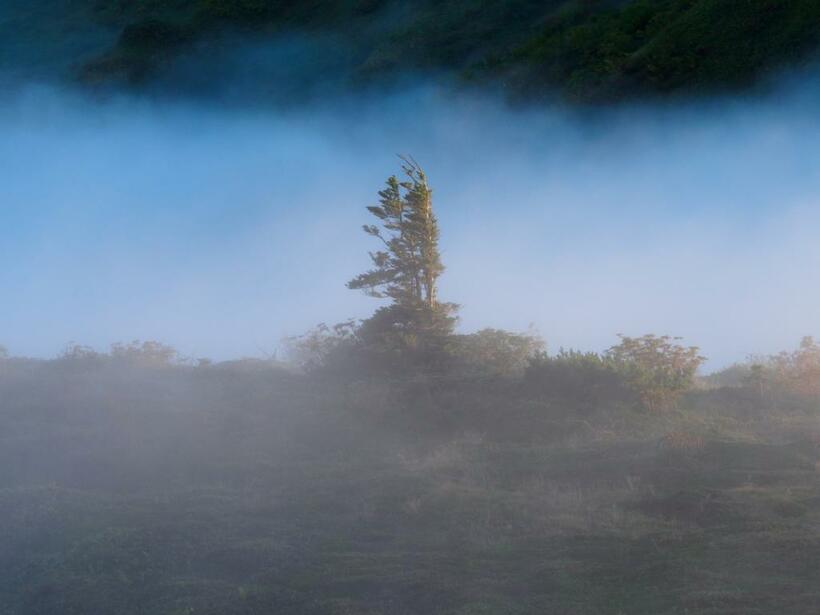 峠に走る青雲を追いかける（群馬県・山田峠）■オリンパスOM－D E－M1X・M.ZUIKO DIGITAL ED 40－150mm F2.8 PRO・ISO250・絞りf5.6・AE・－0.7補正