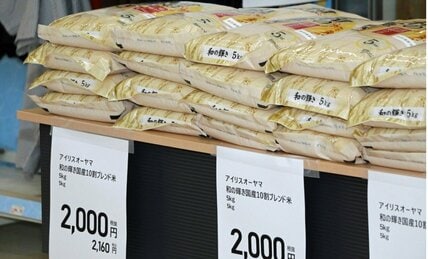 備蓄米4年モノ5キロ2000円はホントに安い？  プロが教える「古古古古米」NG研ぎと「古米臭」対処法