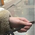 母は7階から身を投げ、父はDV 女性が「地獄」を抜け出すきっかけは「東日本大震災」だった