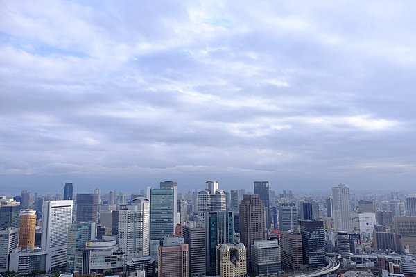 大阪のビル群を一望