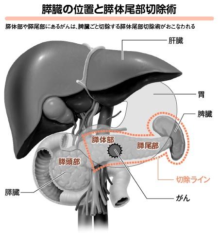 （イラスト／今崎和広）