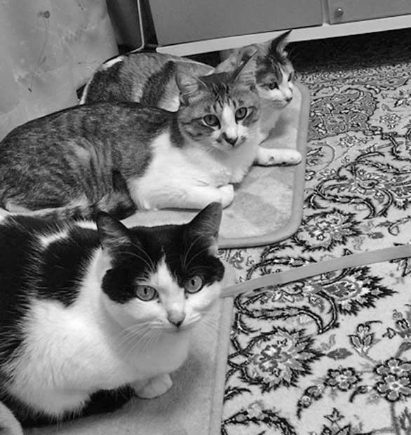 写真・図版(1枚目)| 第1265回 写すほどの顔じゃないと…