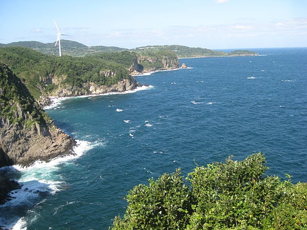 スギ花粉が飛ばない島、長崎県の最北端にある的山大島