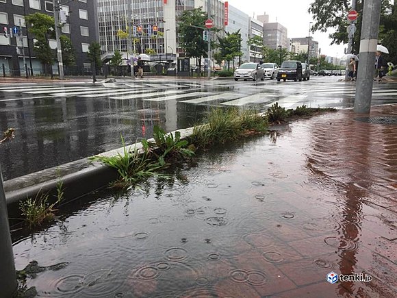 今日（１２日）昼前の札幌市中心部の水たまり　撮影：日本気象協会北海道支社　杉山友衣可