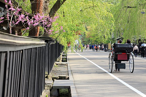 春爛漫の街並みを、人力車でのんびり観光……素敵ですね
