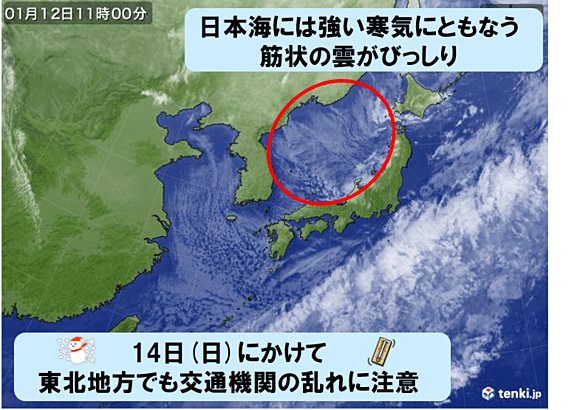 12日11時の気象衛星画像