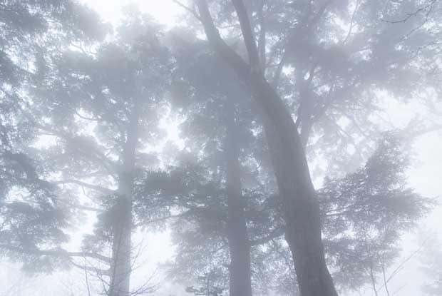 女性たちはなぜ山へ向かうのか (※写真はイメージ)