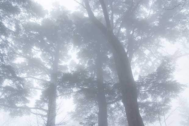 女性たちはなぜ山へ向かうのか　（※写真はイメージ）