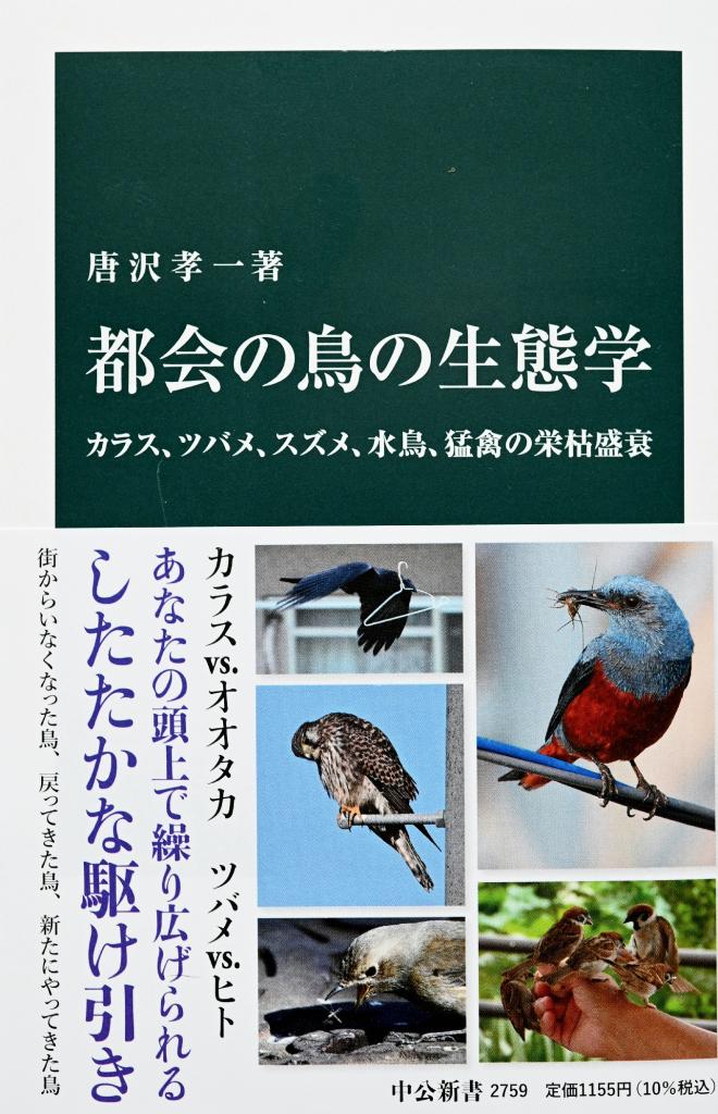 唐沢孝一著『都会の鳥の生態学』