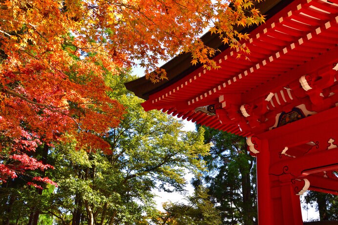 横川中堂周辺の紅葉は11月上旬頃がおすすめ