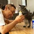 赤ちゃん兄弟猫に悪戦苦闘! 「やる気ない病」と「猫アレルギー」を超えて【50代無職男のミルボラ初体験記(上)】