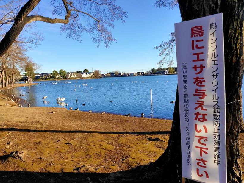 鳥インフルエンザ対策のため、鳥にえさを与えないよう呼びかける看板