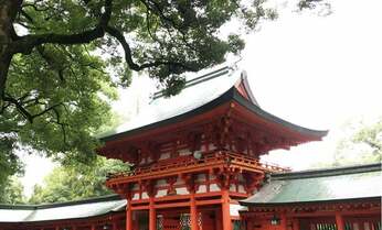 震災被害に大きな差が… 被害の少なかった神社が祭る神さまとは?