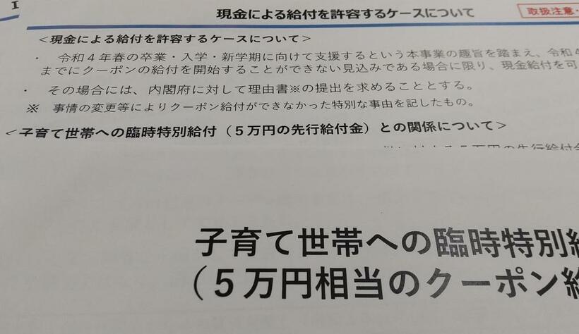 入手した「自治体向け説明資料」