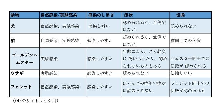 身近な動物の新型コロナウイルス感染について