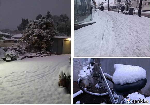 写真左：京都市西京区　写真右上：広島市中区　写真右下：仙台市青葉区
