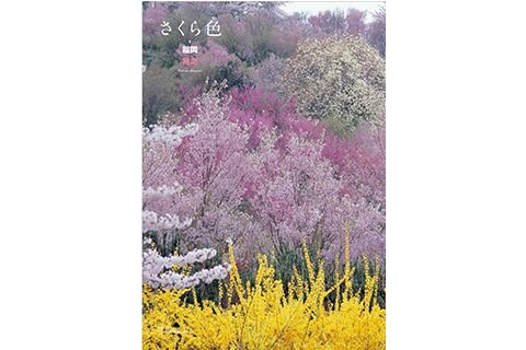 福岡将之さんの「さくら色」から　花見山公園(福島県福島市）(C）Fukushima　Masayuki