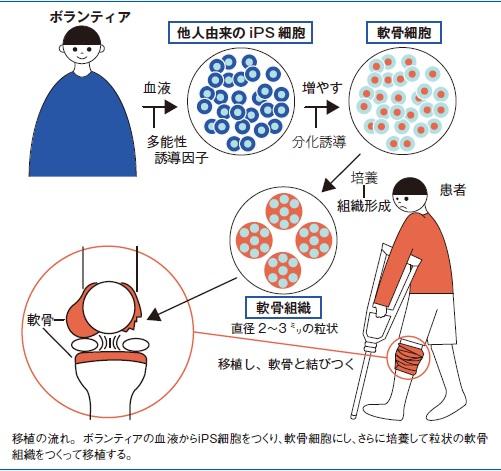 （イラスト／タナカ基地）