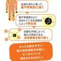 疲労に焼き肉も栄養ドリンクも期待できない 「鶏むね肉」が最も効果的である理由