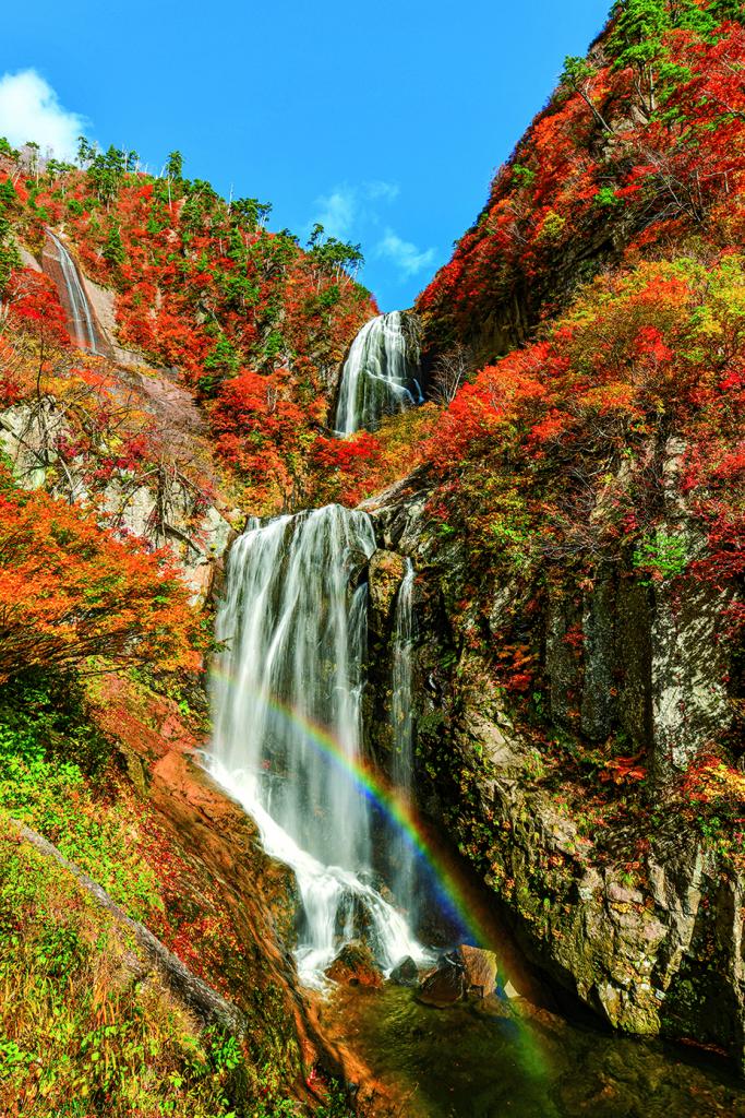 晴天とピークの紅葉に虹が懸かる