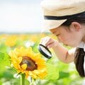 「悩んだ」「苦しめられた」夏休みの自由研究 「自力でやった」は6割 “難敵”に家族で取り組んだ思い出も【AERAアンケート結果発表】