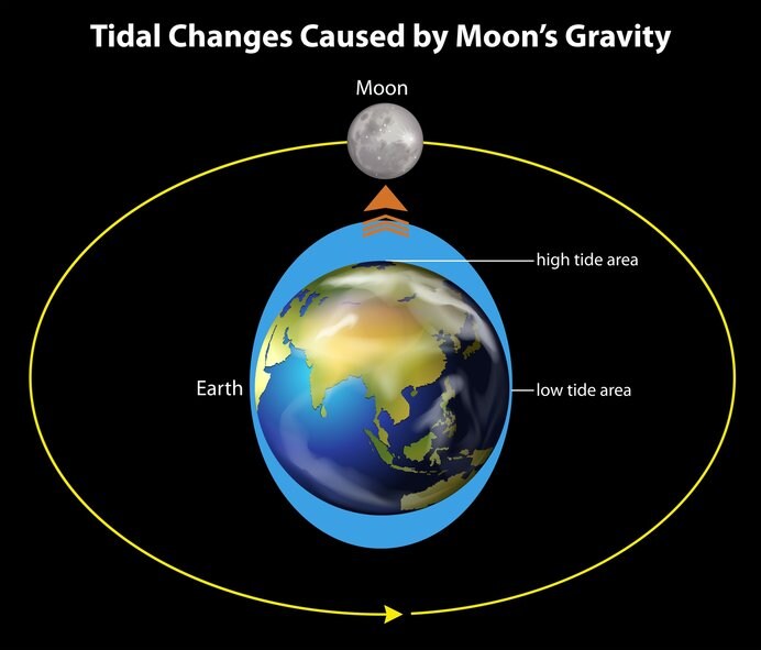 月重力による潮位を表した図。月が地球に接近するスーパームーン時は潮汐（ちょうせき）力が強くなる