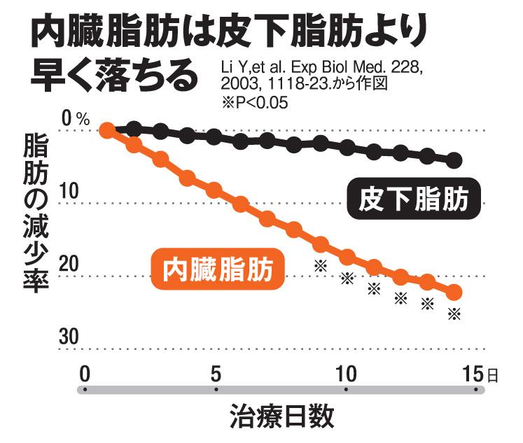 内臓脂肪は皮下脂肪より早く落ちる（ＡＥＲＡ　２０１９年７月８日号より）