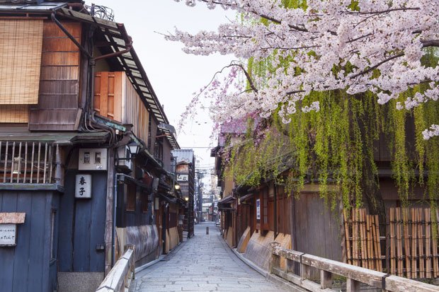 祇園白川沿いの桜は、京都らしい石畳の街に溶け込む。川面に舞い落ちた花びらは、見ている人を誘うようにゆっくりと流れていく（撮影／星野佑佳）
<br />