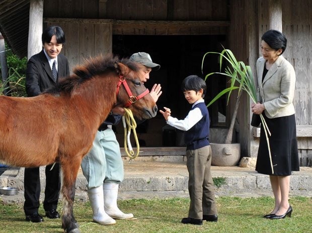 平成25年、「沖縄こどもの国」で馬と触れ合う悠仁さまと秋篠宮ご夫妻　（c）朝日新聞社