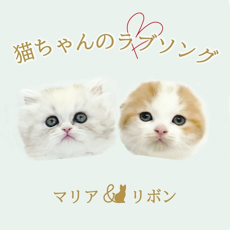 2匹の猫ユニットによる「猫ちゃんのラブソング」MV公開＆「猫の日」特番も配信