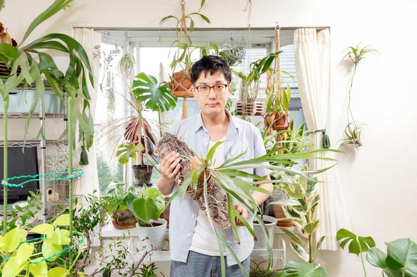 お笑い芸人・成田デシリットルさん／６畳ワンルームを埋め尽くす植物たち。部屋の３面が窓という、植物にとって理想の環境。「でかくなってほしいような、これ以上育ってほしくないような……」（写真／片山菜緒子）
