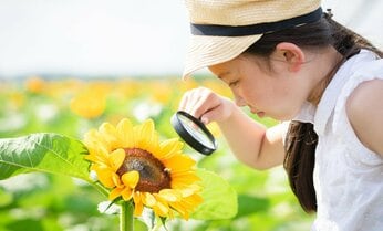 あなたが子どもの頃、夏休みの「自由研究」に選んだテーマは 我が子と一緒にどこまでやる?【AERAアンケート】