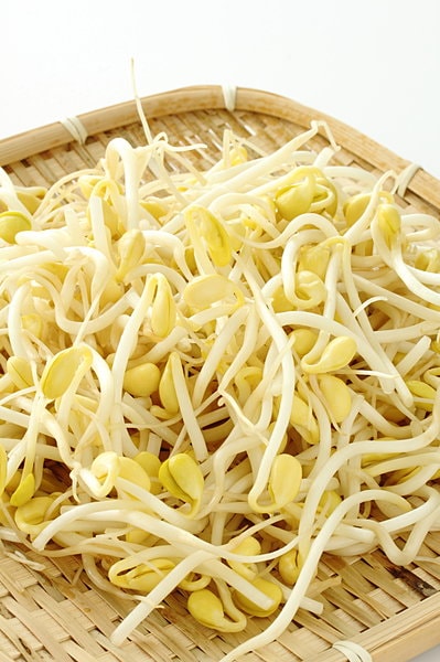 アスパラギン酸は豆もやしにも!